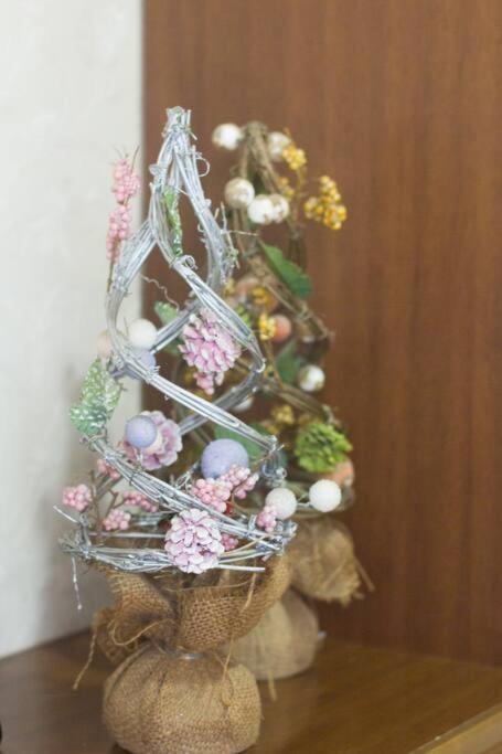 Mochida'S Guest House Токио Экстерьер фото